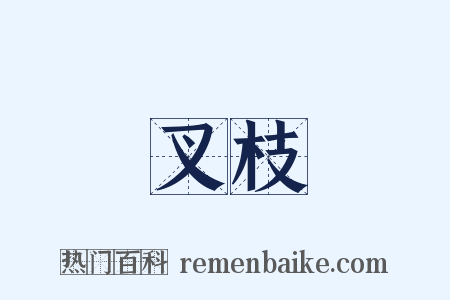叉枝是什么意思的图片